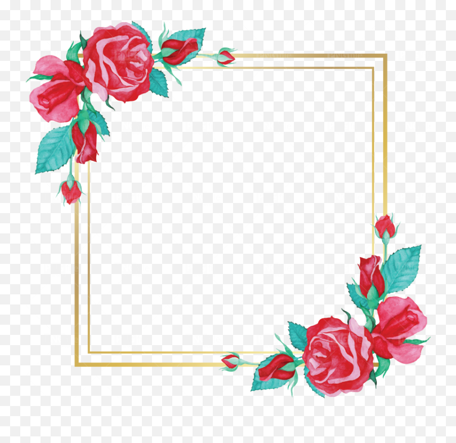Watercolor Rose Flower Frame Design - Floral Png,Watercolor Rose Png