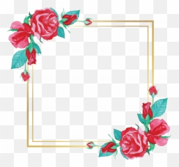 Watercolor Rose Flower Frame Design - Floral png