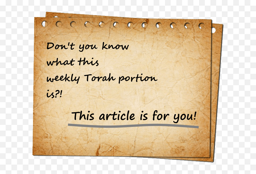 Preface To The Weekly Torah Portion - Bible Society In Israel Handwriting Png,Torah Png