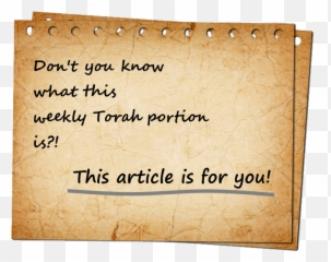 Preface To The Weekly Torah Portion - Bible Society In Israel Handwriting Png,Torah Png