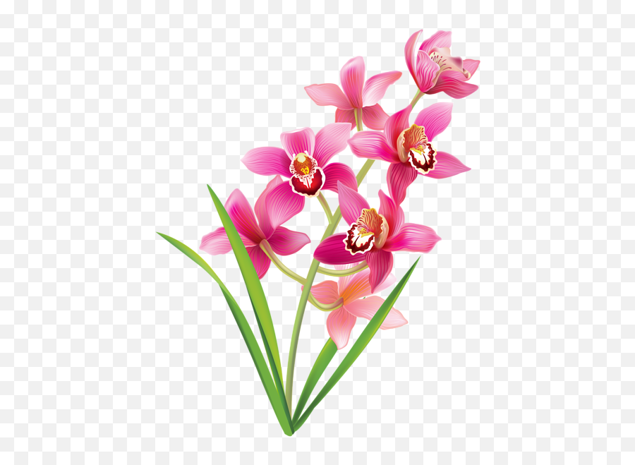 Pink Orchids Png Clipart Image - Orchids Clipart,Simple Flower Png