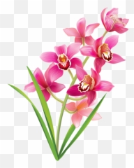 Pink Orchids Png Clipart Image - Orchids Clipart,Simple Flower Png