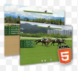 Guide To Online Horse Racing - Supplies png