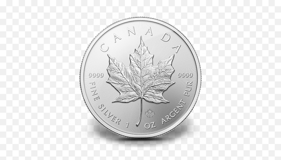 Maple Leaf Silver - Palladium Maple Leaf Png,Canada Maple Leaf Png
