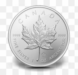 Maple Leaf Silver - Palladium Maple Leaf Png,Canada Maple Leaf Png