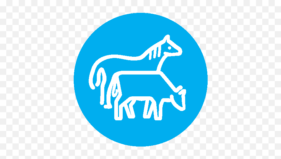 Animal Sciences - College Of Agricultural Sciences Language Png,Horses Icon