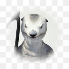 Combat Promotion Mediah Trio - BDO Codex Bdo Yengeç Kys Porio png