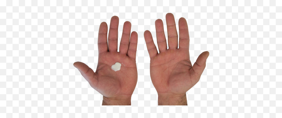 Palm Of Hand Transparent Png Clipart - Palm Of Hands Png,Hand Palm Png