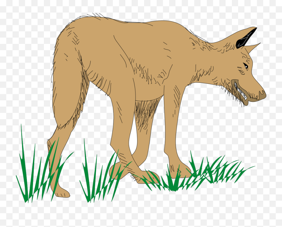 Hunting Brown Wolf Png Svg Clip Art For Web - Download Clip Wolf Walking Clipart,Hunting Png