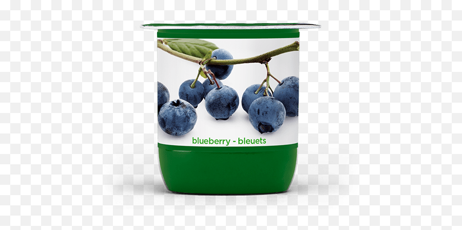 Activia Classic U2013 Blueberries - Blueberry Png,Blueberries Png