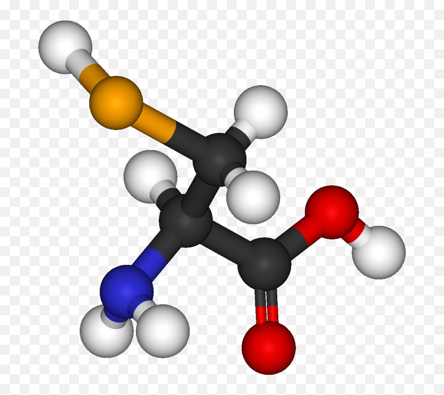 Amino Acid Png File - Amino Acid Png,Acid Png