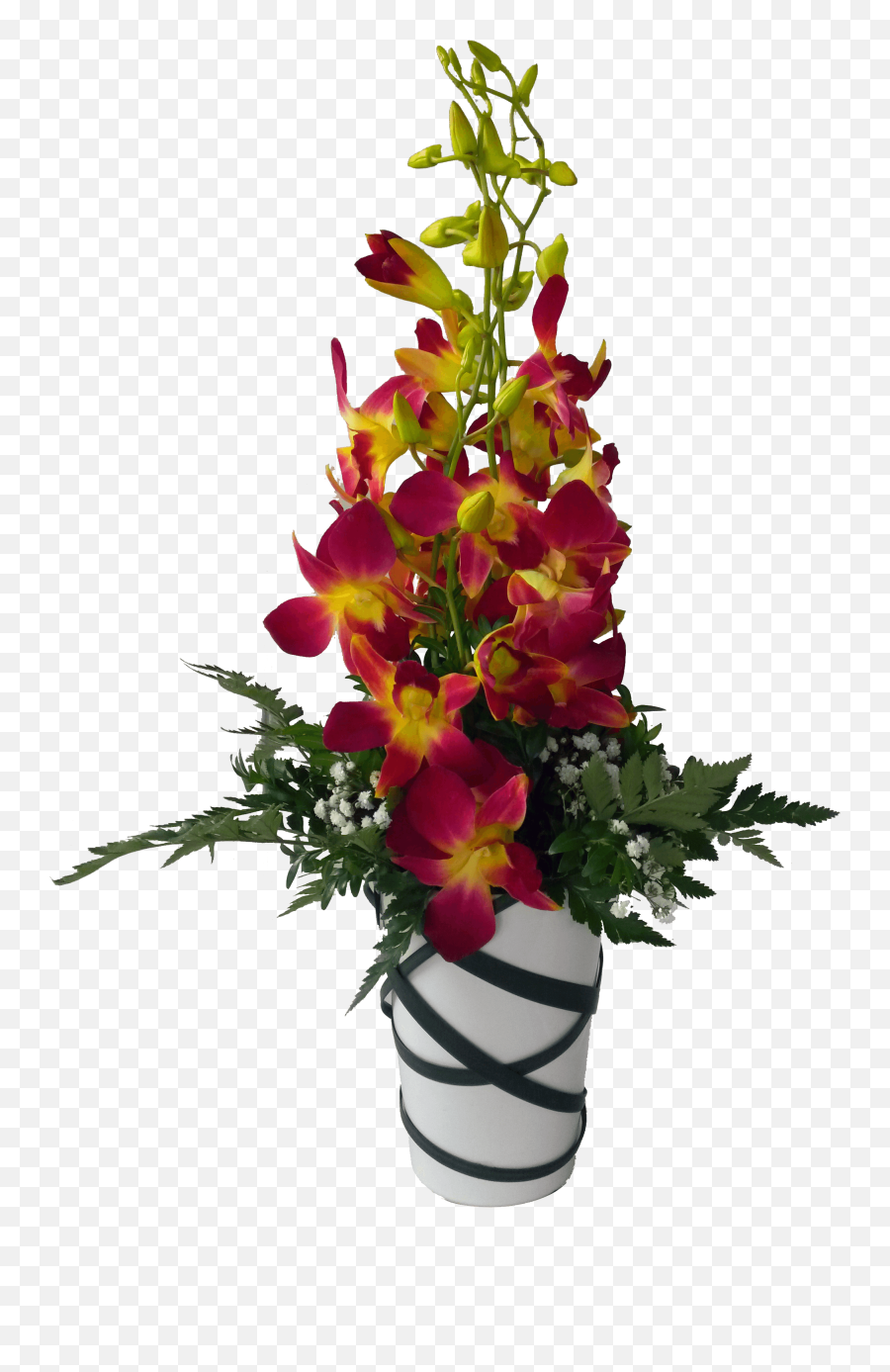 Orchid Flower Pot Png
