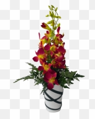 Orchid Flower Pot Png