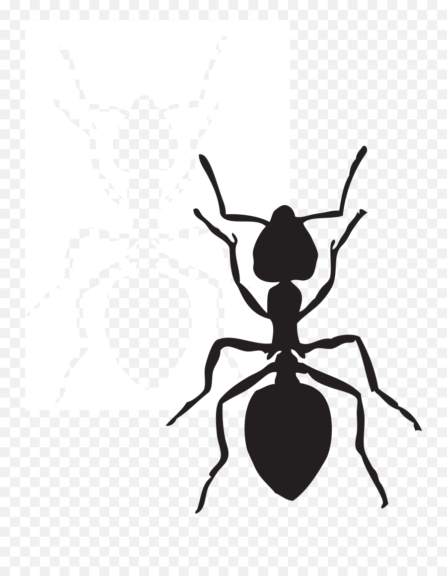 Ants Clipart Png - Ant Clipart Black And White Free,Ants Png