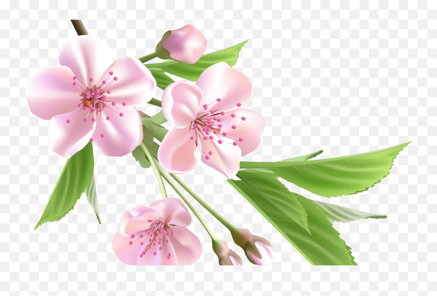 96 Spring Flowers Clip Art Transparent Pink Flower - Almond Tree And Flowers Drawing Png,Flower Clip Art Png