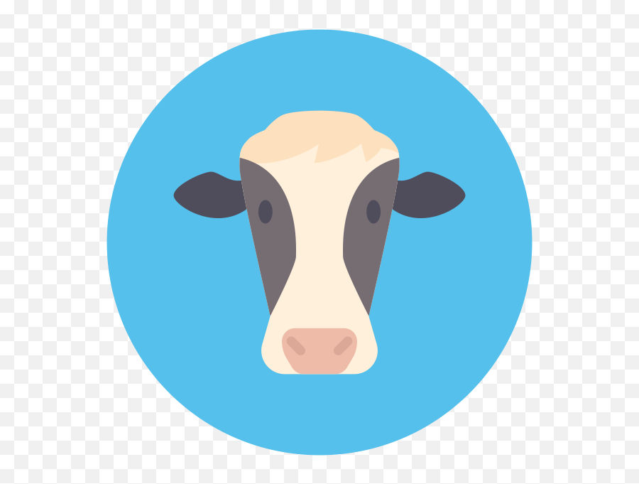 Breed Of Cows - Cattle Clipart Full Size Clipart 1950965 Dairy Cow Png,Cows Png