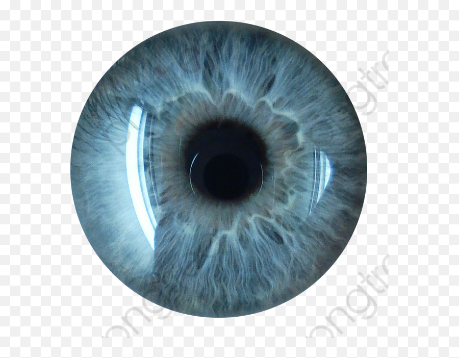Png Transparent - Eye Lens Png Hd,Green Eyes Png