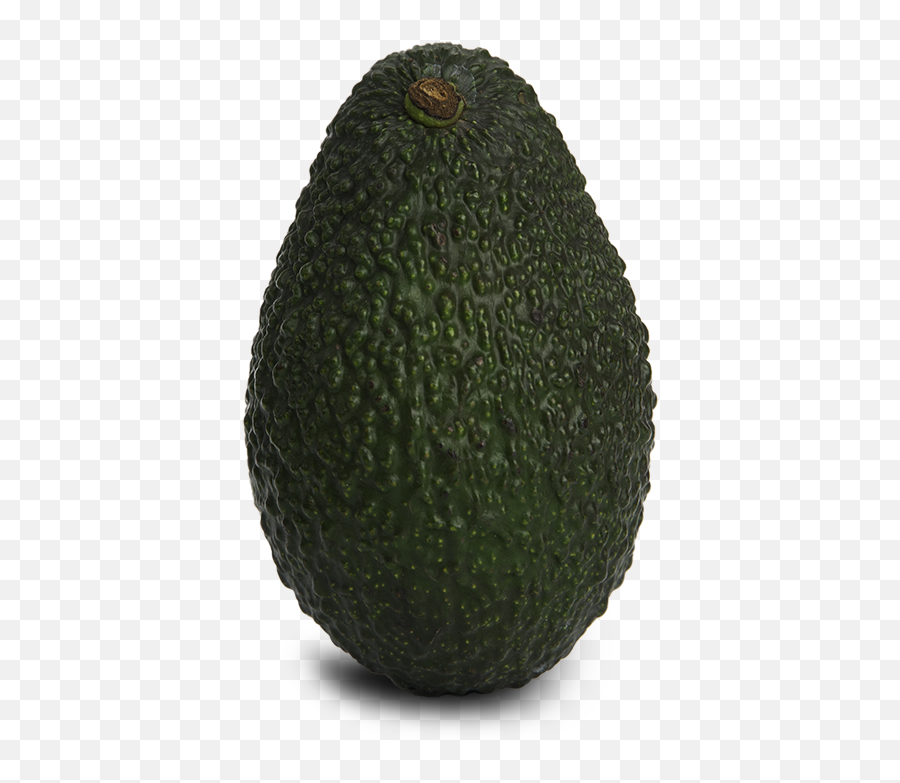 Full Size Png Image - Hass Avocado,Avocado Png