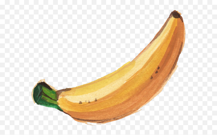 Banana Png Transparent Images - Transparent Banana Png Watercolor Banana Png,Banana Png