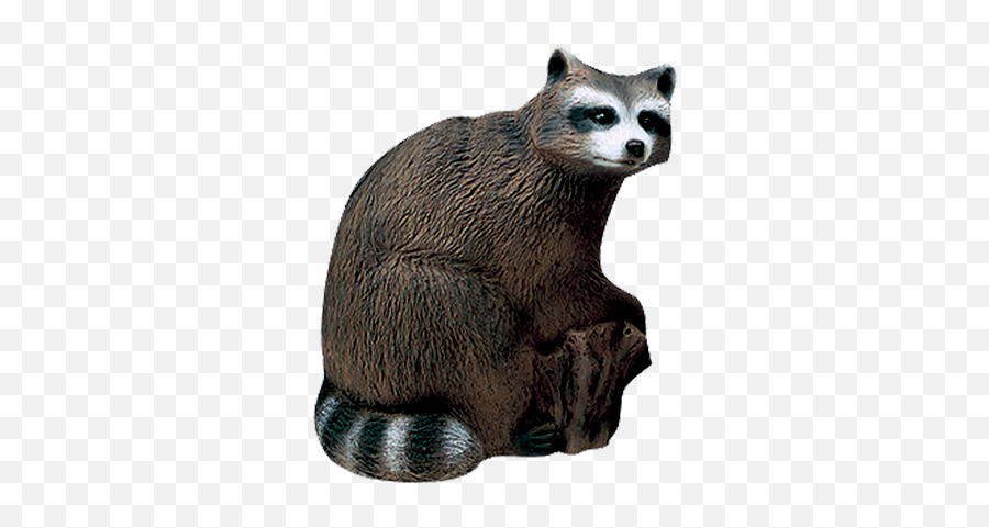 Delta 3d Raccoon Central Coast Archery - Delta Mckenzie 3d Backyard Target Png,Racoon Png Delta 3d Raccoon Central Coast Archery - Delta Mckenzie 3d Backyard Target Png,Racoon Png