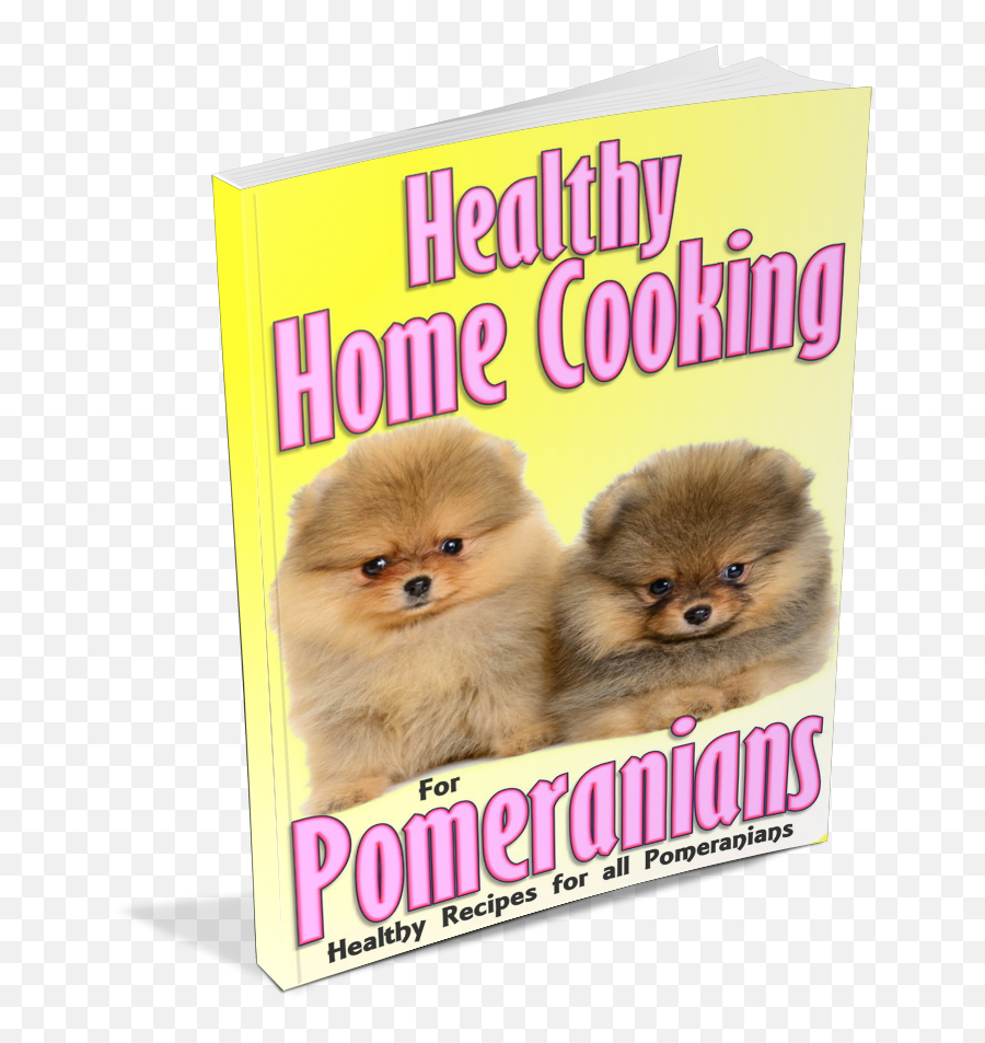 Pomeranian Food Recipes - Soft Png,Pomeranian Png