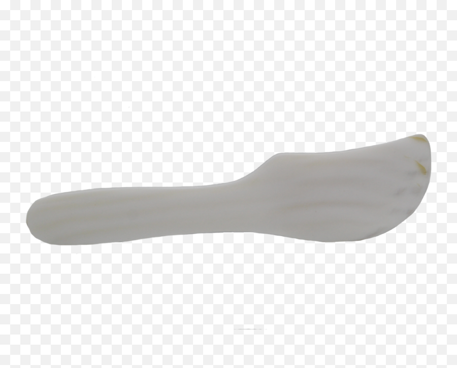 Seashell Spreader - Solid Png,Sea Shells Png