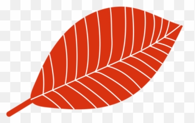 Flat Autumn Red Leaf - Illustration png