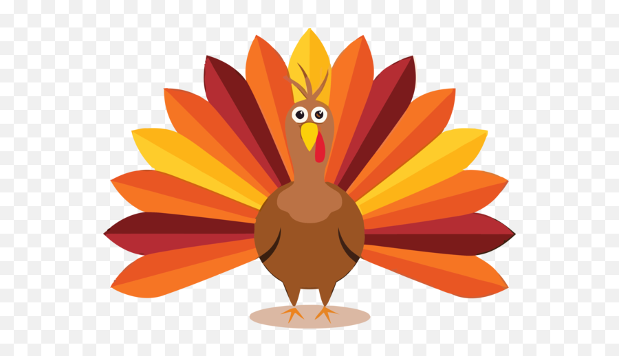 Thanksgiving Orange Plant For - Thanksgiving Pictures For Kids Png,Thanksgiving Banner Png