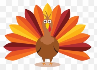 Thanksgiving Orange Plant For - Pictures For Kids png