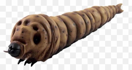 Inch Long 1961 Mothra Larvae Px X - Mothra Larva Png,Mothra Png