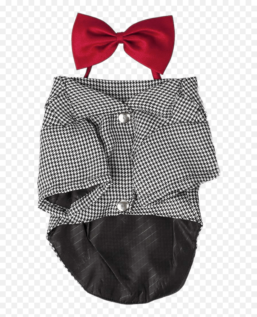 Dog Costume With Bow Tie Transparent Png - Stickpng Bow,Bow Tie Transparent