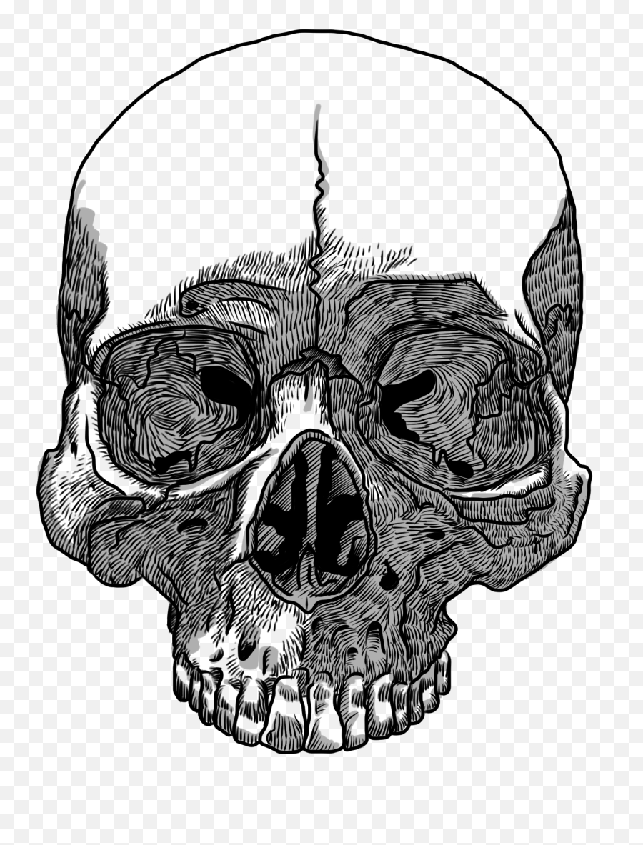 Translucency Clip Art - Skull Art Transparent Background Png,Skull Png Transparent