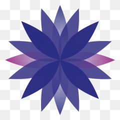 Indigo Governance - Board governance and company png