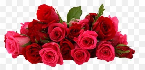 Download Free Render Flower Png