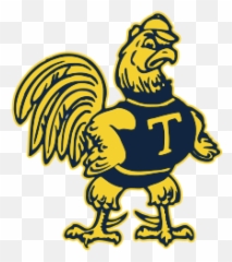 College And University Track U0026 Field Teams Trinity Png