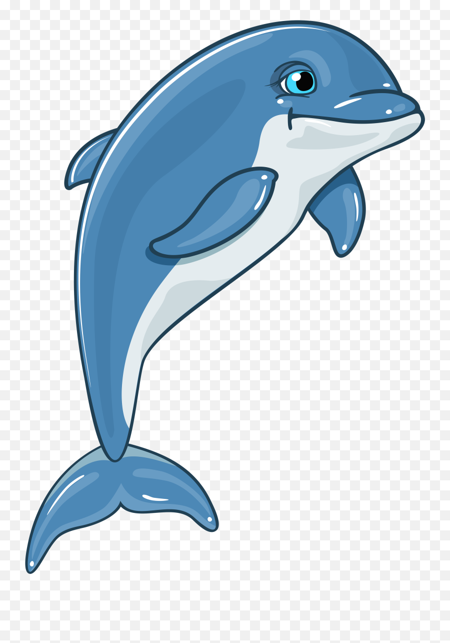 Dolphin Png Clipart Best Web - Dolphin Clipart Png,Water Clipart Transparent