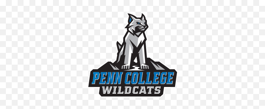 Visual Identity U0026 Brand Guidelines Pennsylvania College Of - Pennsylvania College Of Technology Mascot Png,Fox Interactive Logo