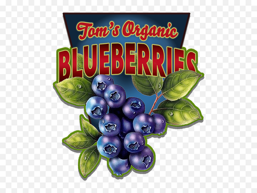 Blueberries Shaped Sign - Blueberry Signs Png,Blueberries Png