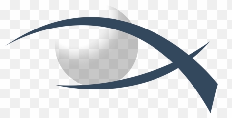 Download Eyeball Clipart Dr - Circle png