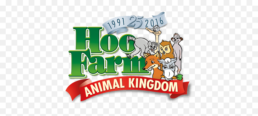 Download Big Cats Twitter - Meerkat Experience Hoo Farm Png Hoo Farm Meerkat Experience,Twitter Logo No Background