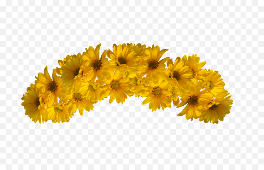 Yellow Flower Crown Png - Yellow Flower Crown Png,Flower Crown Transparent