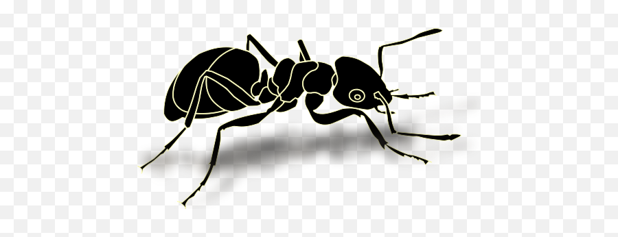 Ants Png Image - Ant Logo Png,Ants Png