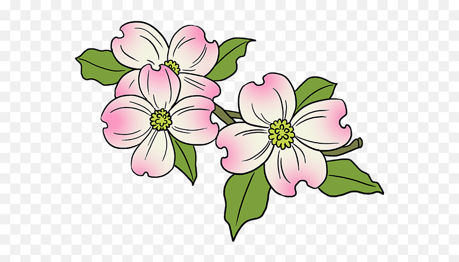 Dogwood Tree Png - Easy Of Drawing Flower,Dogwood Png