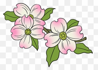 Dogwood Tree Png - Easy Of Drawing Flower,Dogwood Png