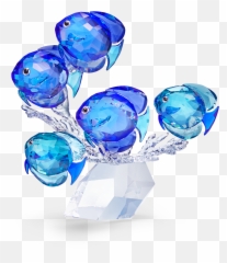 School Of Fish Signed - Crystal Png,School Of Fish Png