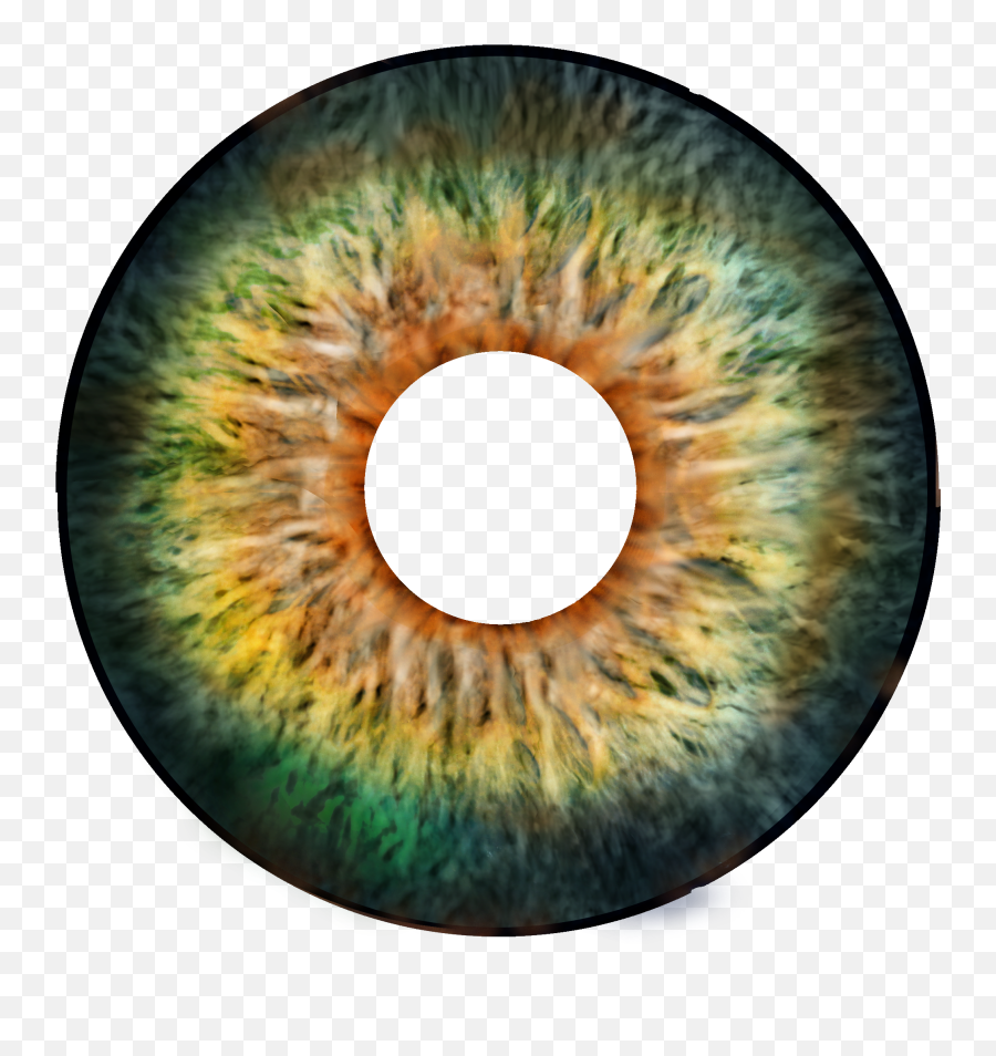 Pin - Circle Png,Green Eyes Png