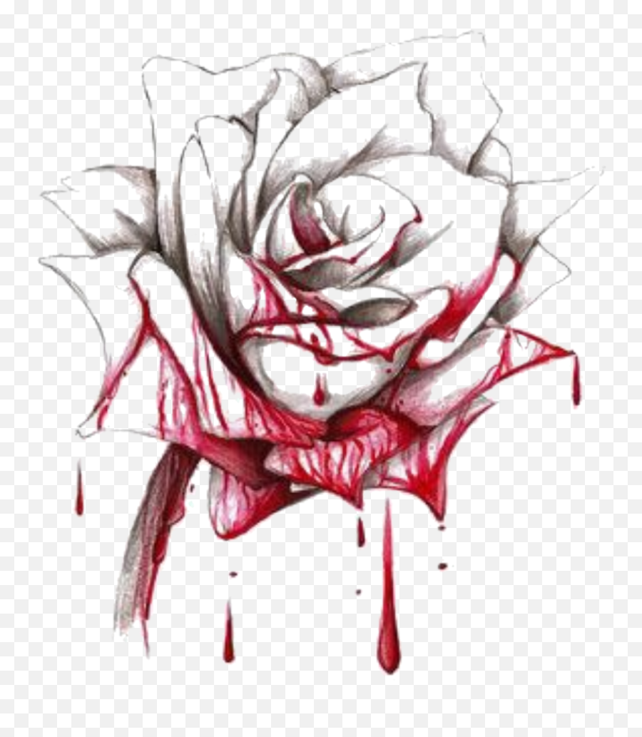 Download Red Rose Blood Bloody Bloodyrose Silhouette - Alice In Wonderland Rose Drawing Png,Rose Drawing Png
