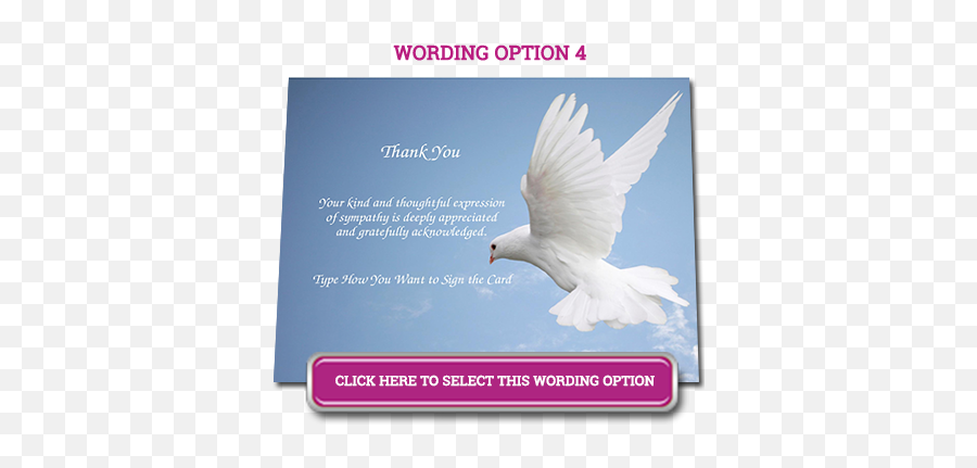 Browse Designs White Dove Flat - Fill Me Up Holy Spirit Png,White Dove Png