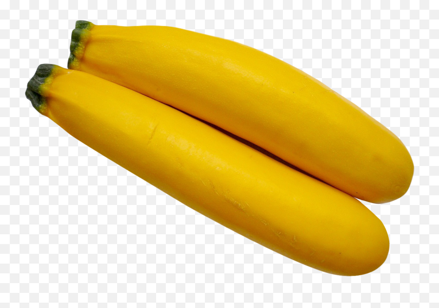 Download Yellow Zucchini Png Image For Free - Yellow Zucchini Png,Summer Transparent Background