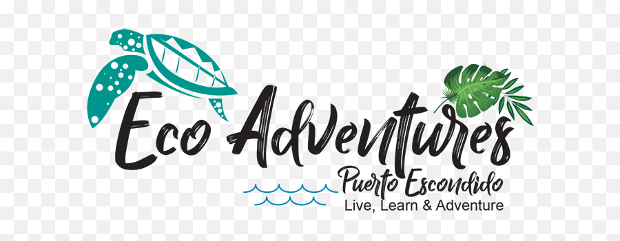 Eco Adventures Puerto Escondido - Calligraphy Png,Adventure Png